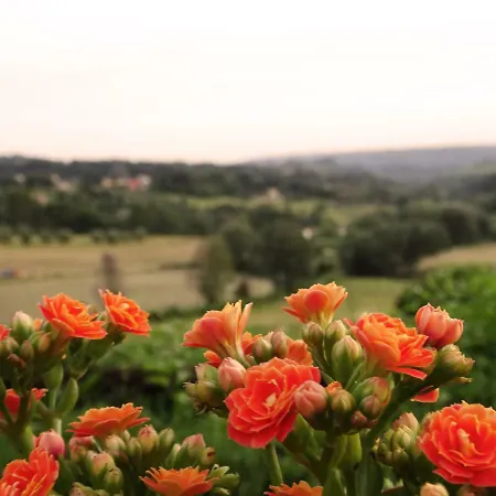Country house Casale Cerquabella Countryhouse Poggio Catino